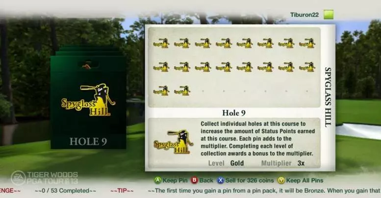 Tiger Woods PGA Tour 13