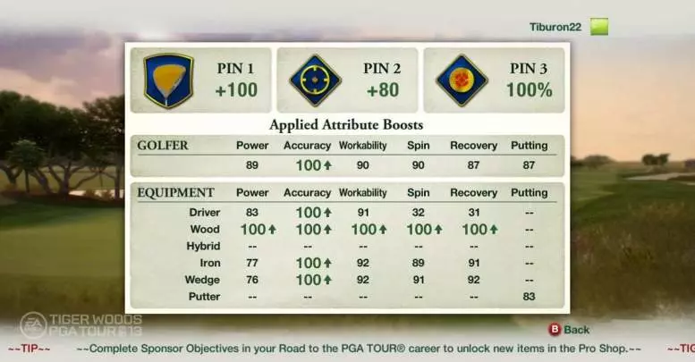 Tiger Woods PGA Tour 13