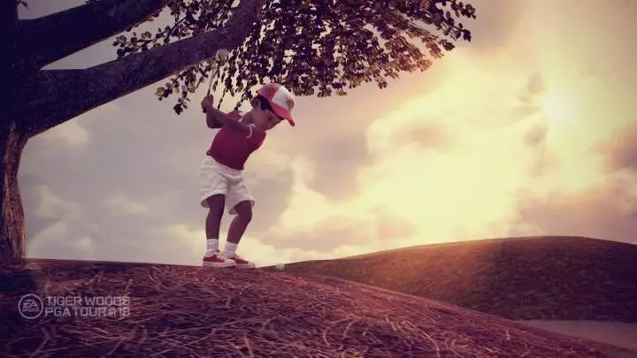 Tiger Woods PGA Tour 13