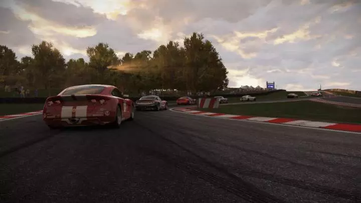 Project Cars