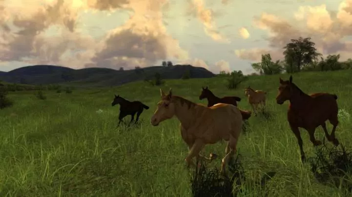 El Señor de los Anillos Online Riders of Rohan