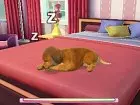 Cats & Dogs Pets at Play - Imagen 3DS