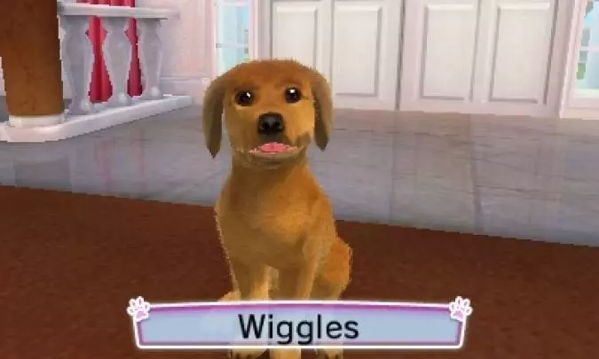 Cats & Dogs Pets at Play