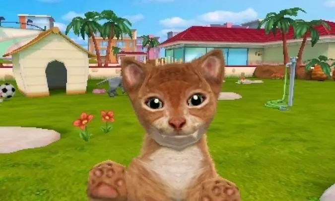 Cats & Dogs Pets at Play