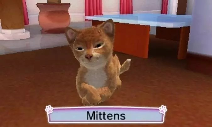 Cats & Dogs Pets at Play