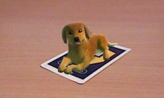 Cats & Dogs Pets at Play