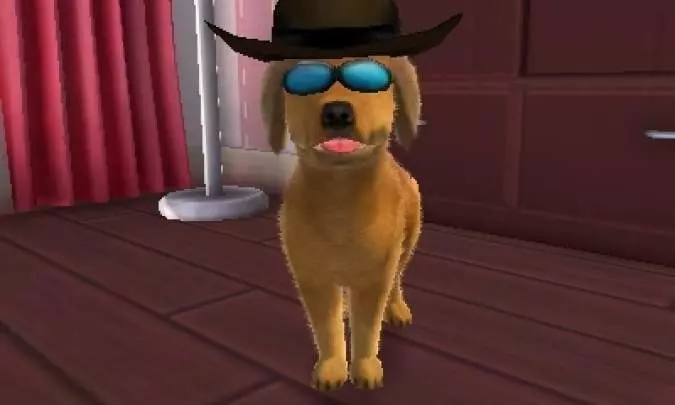 Cats & Dogs: Pets at Play