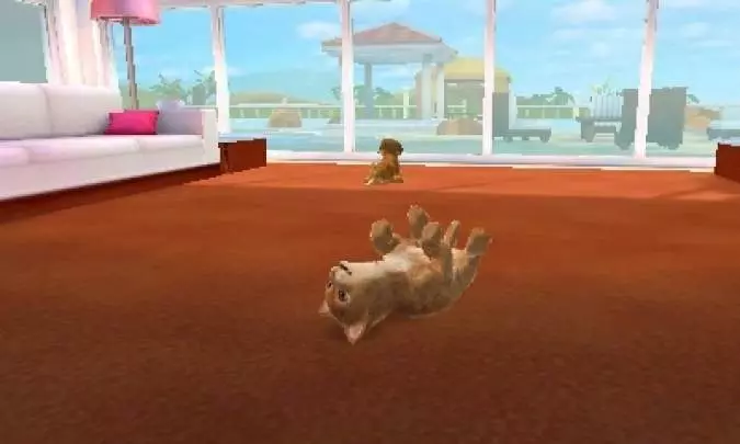 Cats & Dogs Pets at Play