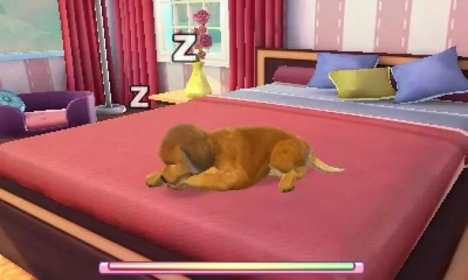 Cats & Dogs: Pets at Play