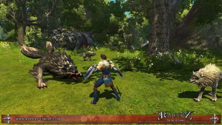 RaiderZ The Art of Combat