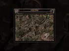Baldur's Gate II Enhanced Edition - Imagen