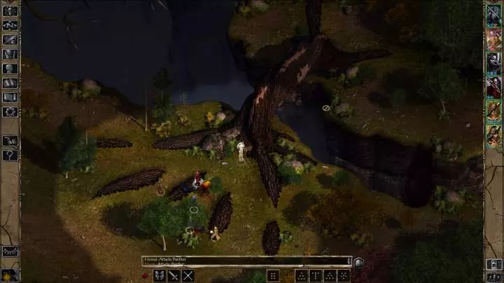 Baldur's Gate II Enhanced Edition - iOS