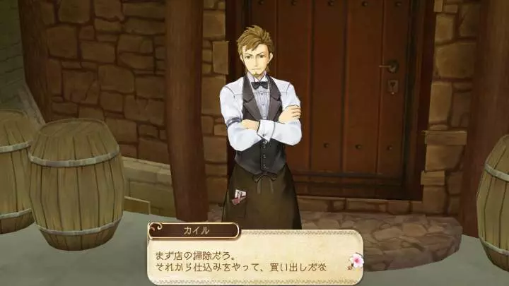 Atelier Ayesha The Alchemist of Dusk