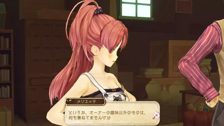 Atelier Ayesha The Alchemist of Dusk