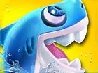 Shark Dash
