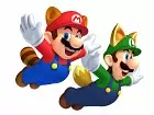 New Super Mario Bros 2 