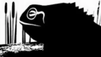 Los creadores de Unfinished Swan desvelan Edith Finch