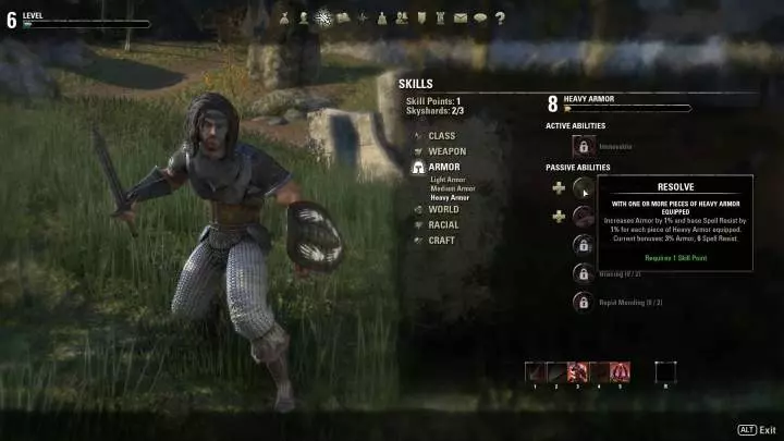 Elder Scrolls Online