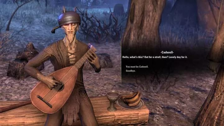 The Elder Scrolls Online