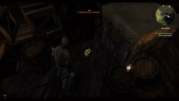 The Elder Scrolls Online