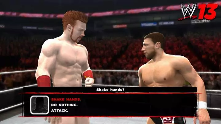 WWE 13