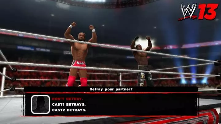 WWE 13