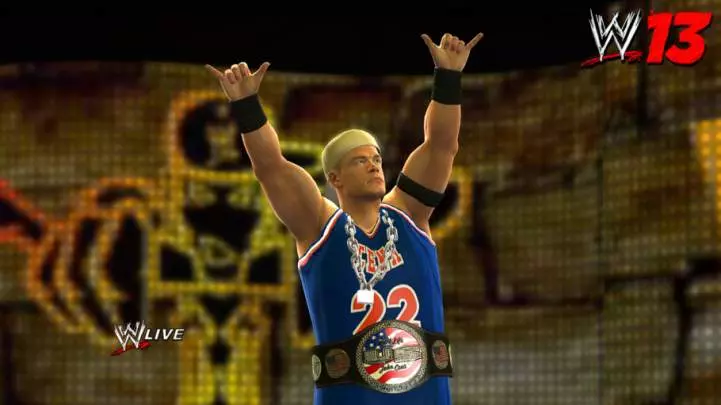 WWE 13