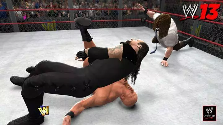 WWE 13