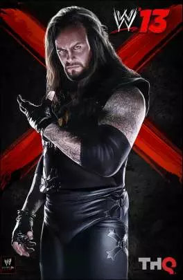 WWE 13