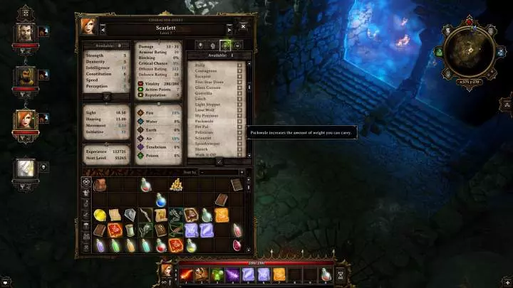 Divinity Original Sin