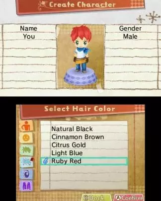 HomeTown Story - 3DS