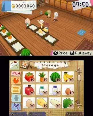 HomeTown Story - 3DS