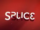 Splice