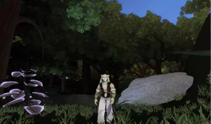 Shiness The Lightning Kingdom