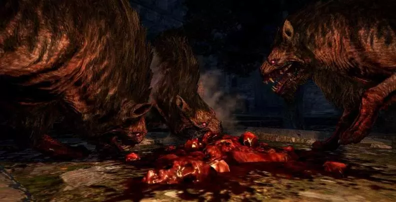 Dragon's Dogma Dark Arisen