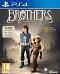 Brothers: A Tale of Two Sons