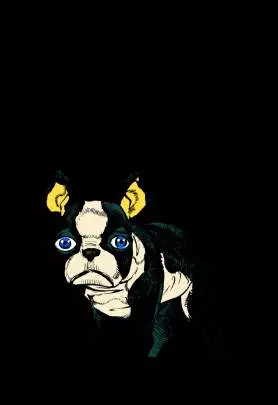 Jojo's Bizarre Adventure HD