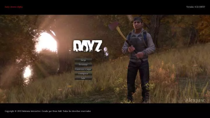 DayZ - PC