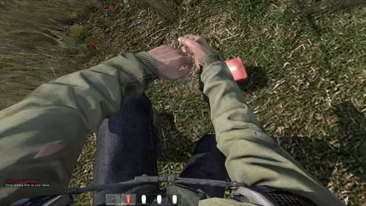 DayZ