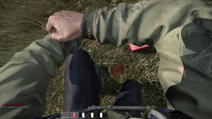 DayZ