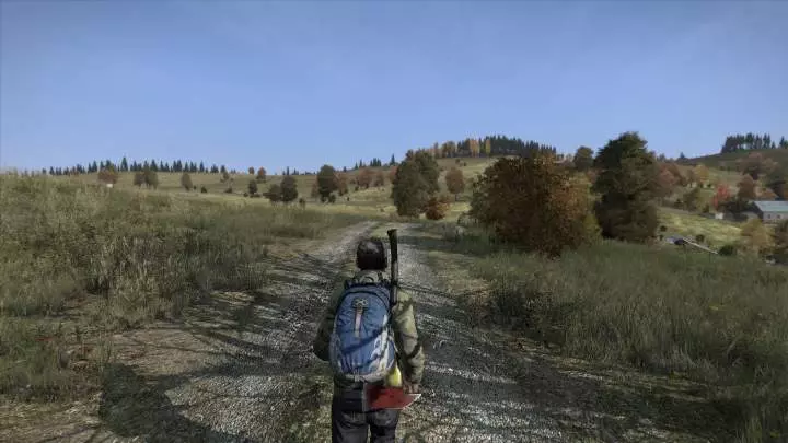 DayZ