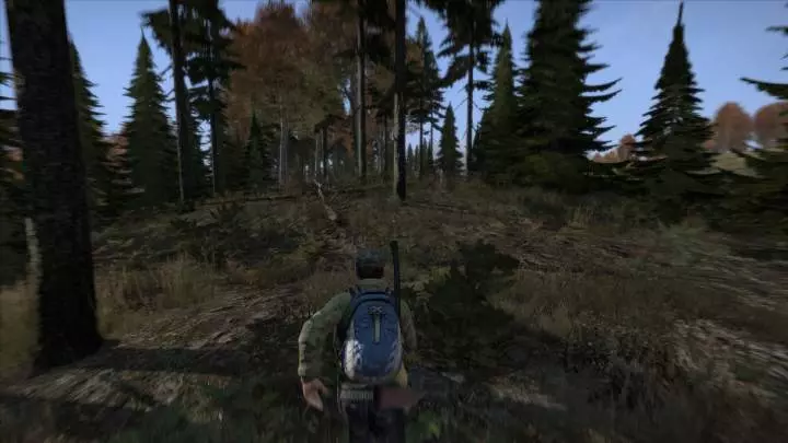 DayZ
