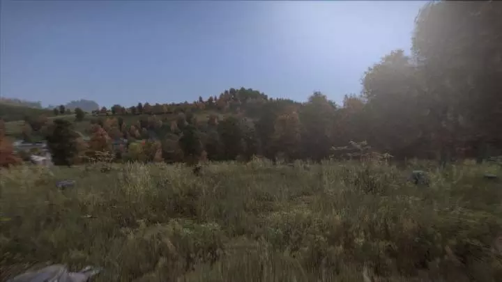 DayZ - PC