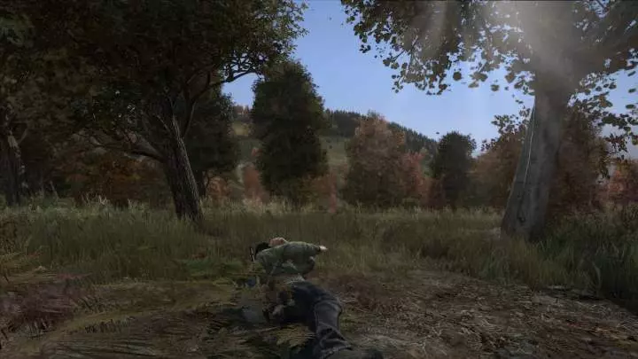 DayZ