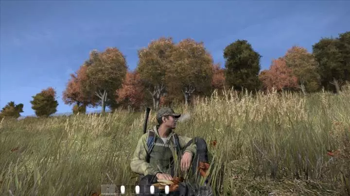 DayZ