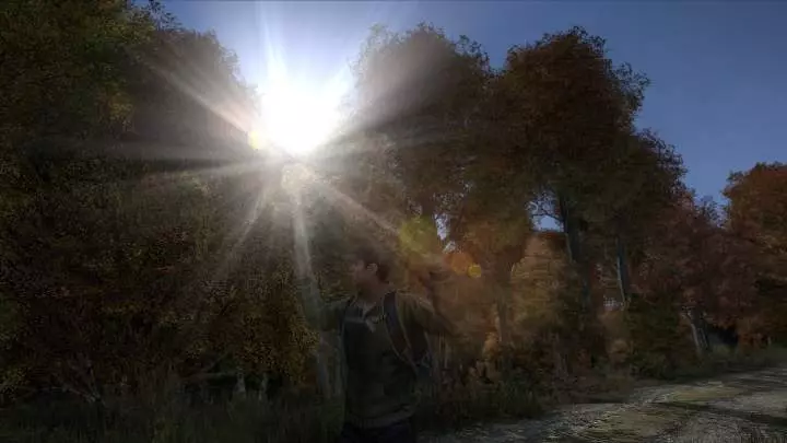 DayZ