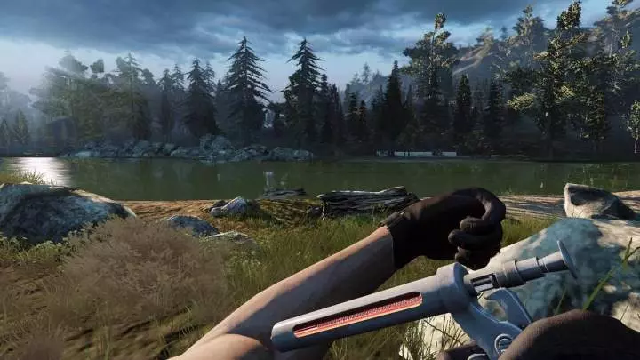 Infestation Survivor Stories