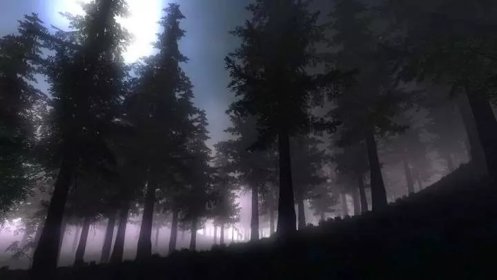 Infestation Survivor Stories