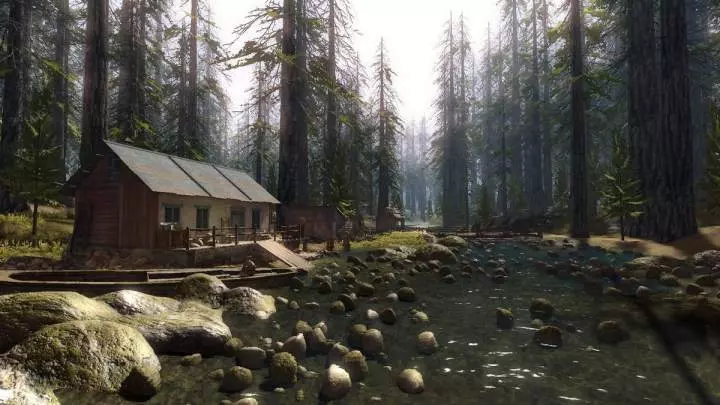 Infestation: Survivor Stories