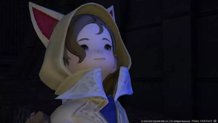 Final Fantasy XIV A Realm Reborn